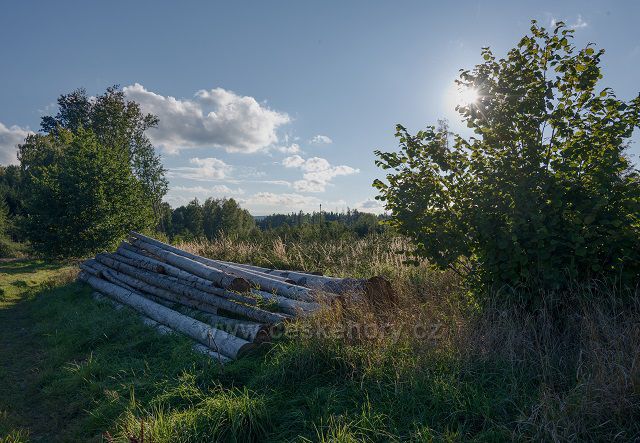 Zátiší s dřevem ...
