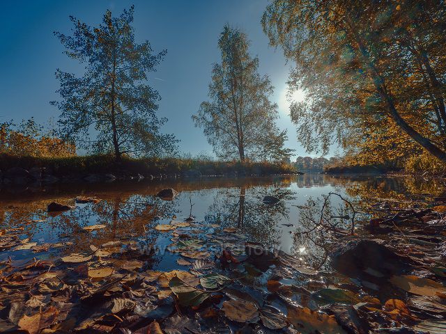 Podzimní ráno u rybníka Stráž