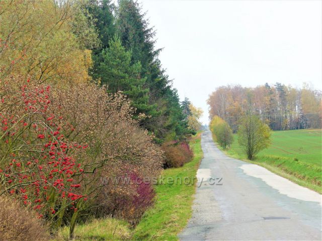 Bohdašín. Silnička z Rokole do Janova.