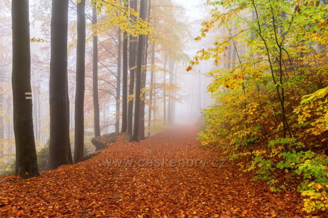Podzimní mlhavá cesta na Tanvaldský Špičák