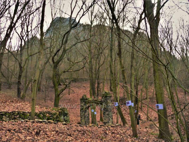 Prosincová zahrada
pod Bořněm