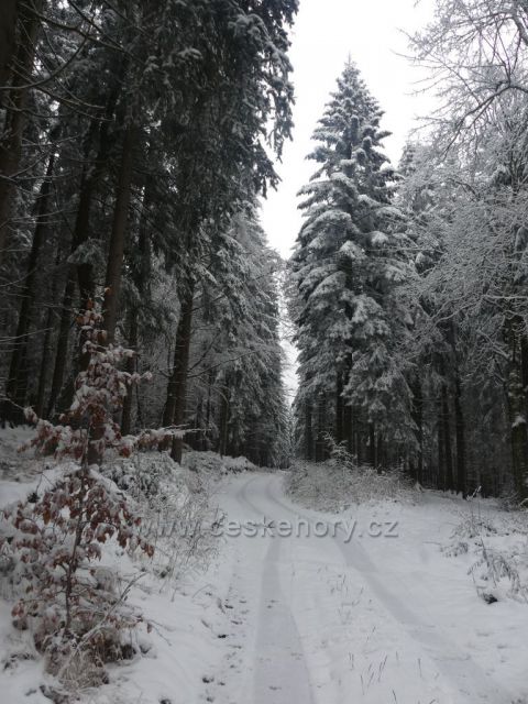 Panské Pole, Odbočka cesty k Polomu