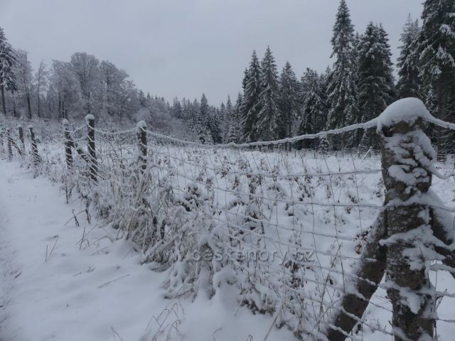 Oplocenka u cesty na Polom