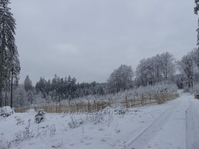 Nová oplocenka u cesty na Polom