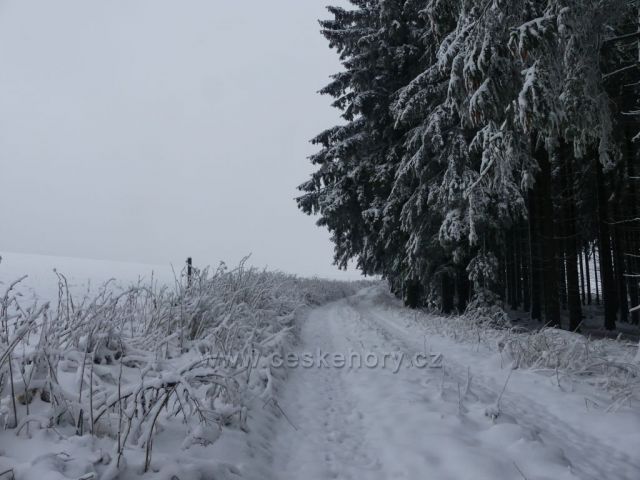 Na hřebenu vrchu Polom.