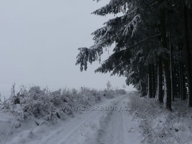 Na hřebenu vrchu Polom