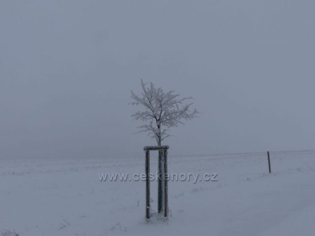 Na hřebenu vrchu Polom