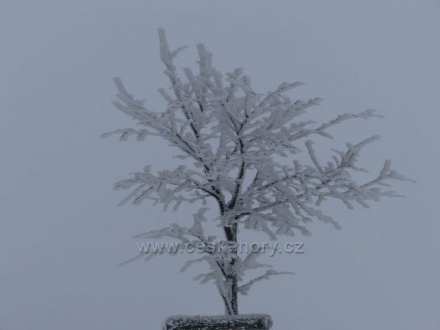 Na hřebenu vrchu Polom