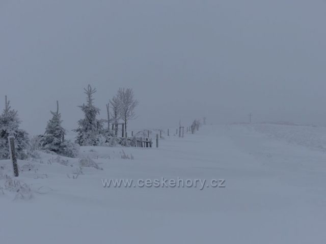 Remízek u cesty po hřebenu vrchu Polom.