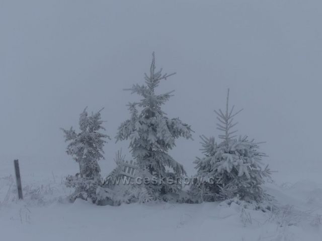 Remízek na hřebenu vrchu Polom.