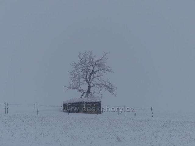 Bunkr na úbočí vrchu Polom