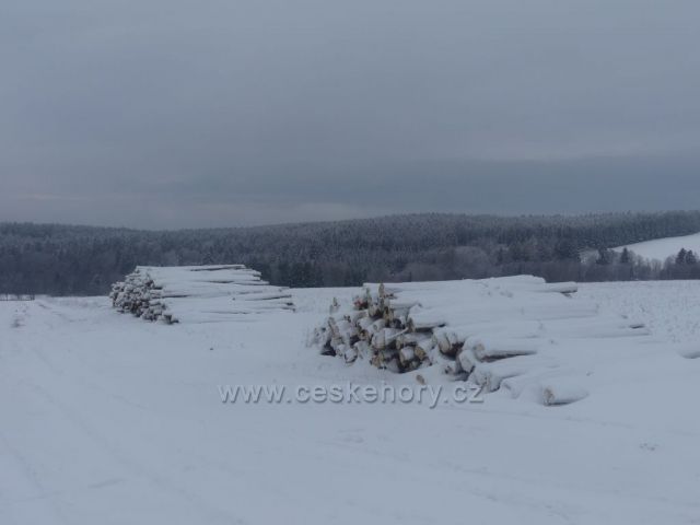 Skládka dřeva na úbočí vrchu Polom.