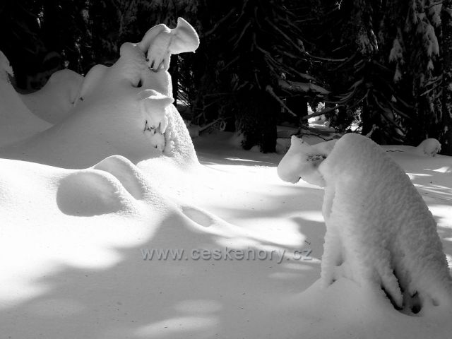 Sněhový pejsek s kočičkou