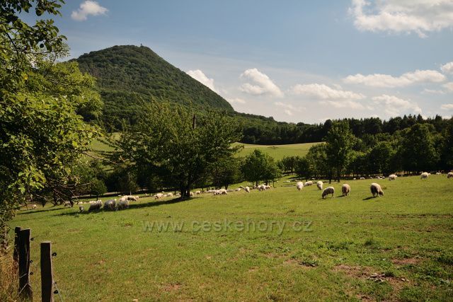 Pastviny v Černčicích