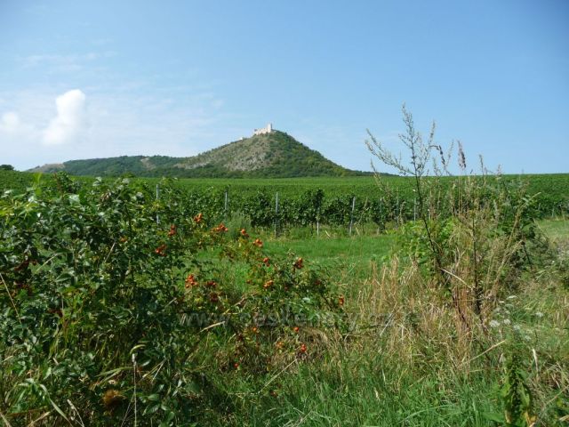 Dívčí hrady od
archeoparku Pavlov