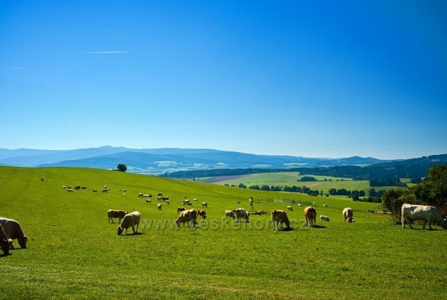 Pastviny u Pocínovic