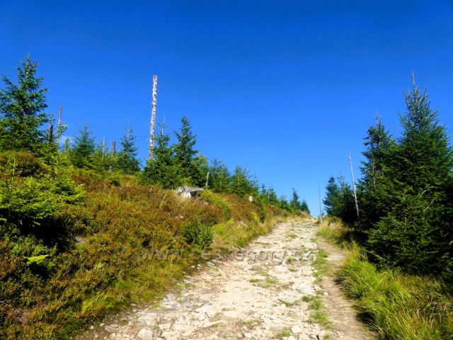 Cesta po úbočí vrchu Stříbrnická