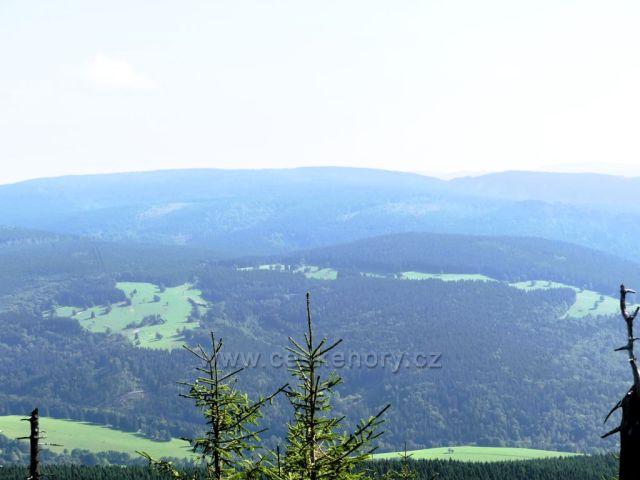 Pohled z úbočí Stříbrnické k Rychlebským horám