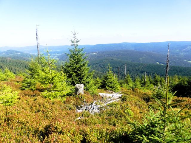 Pohled z úbočí vrchu Stříbrnická k pásmu Rychlebských hor