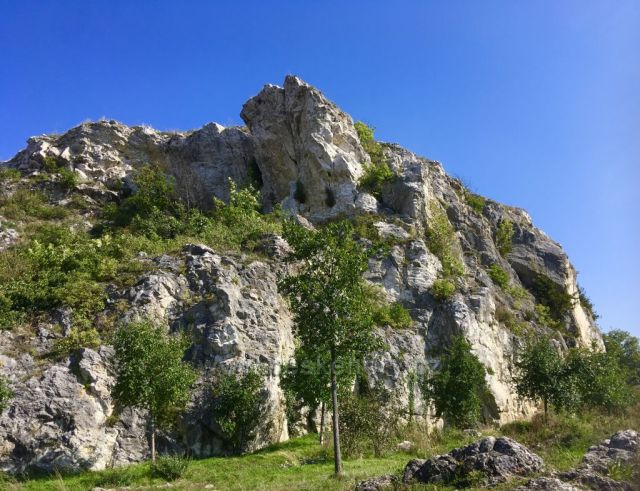 Olivetská hora, Mikulov