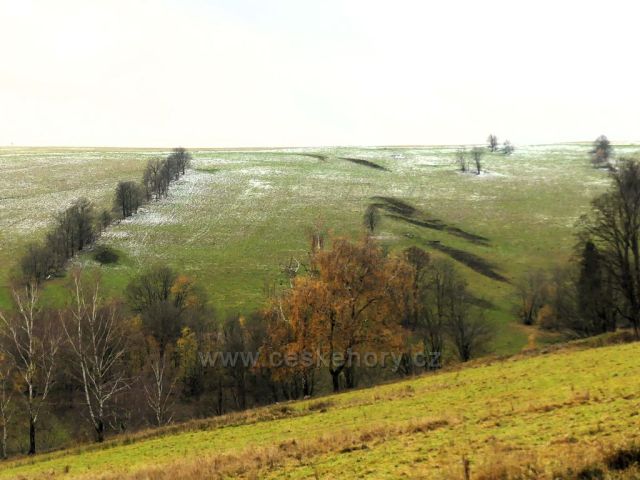 Vrchní Orlice - údolí potoku Hadinec.