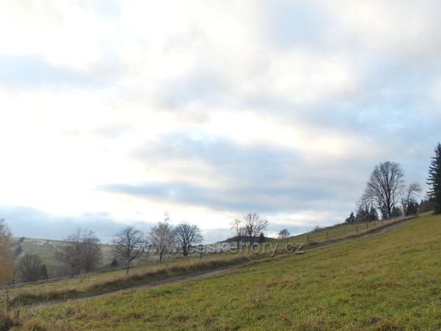 Vrchní Orlice - cesta k Vysokému kořenu.