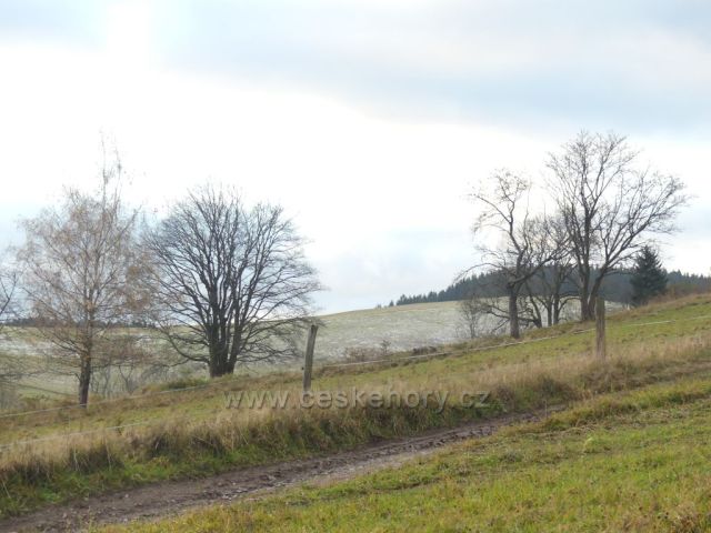 Vrchní Orlice - cesta k Vysokému kořenu, v pozadí hřeben Polomu