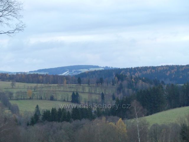 Vrchní Orlice - pohled na polskou stranu údolí Divoké Orlice