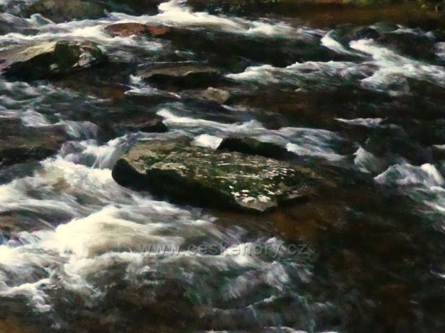 Divoká Orlice nad Zemskou bránou