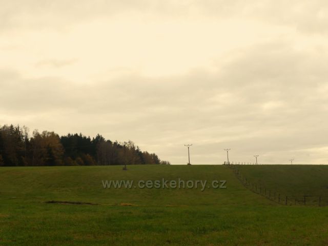 Žamberk - pastvina nad silničkou do Kněžství