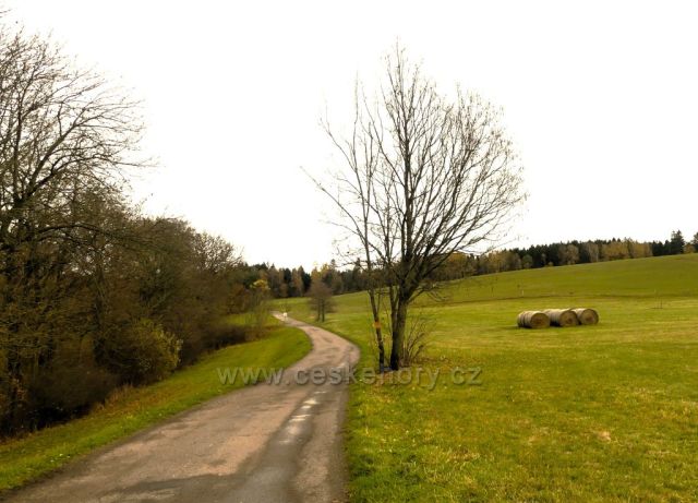 Žamberk - silnička di Kněžství