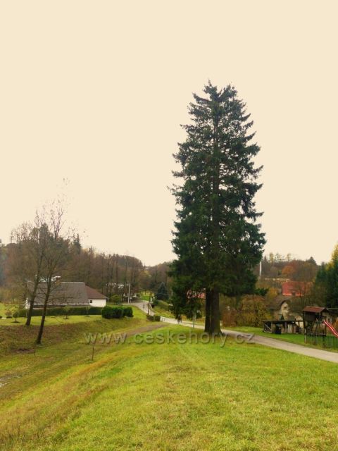 Žamberk - mstní část Polsko