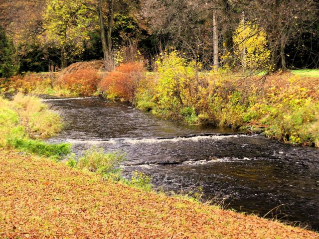 Žamberk - Divoká Orlice