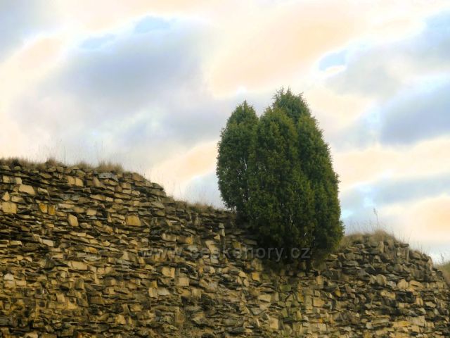 Lanšperk - část obvodové zdi hradní zříceniny