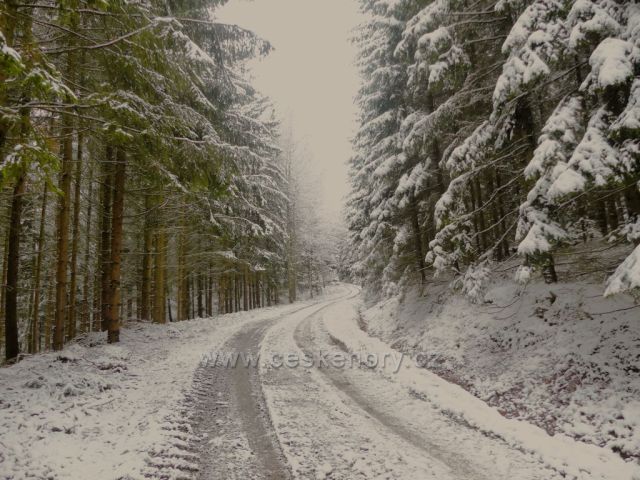 Cesta po trase NS Dlouhoňovice