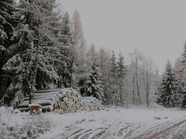 Odpočinkové místo s lavičkou na trase NS Dlouhoňovice.