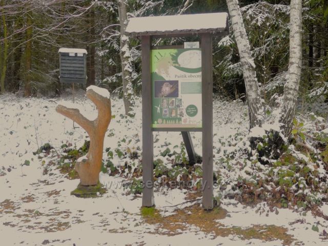 11.zastavení na rase NS Dlouhoňovice.