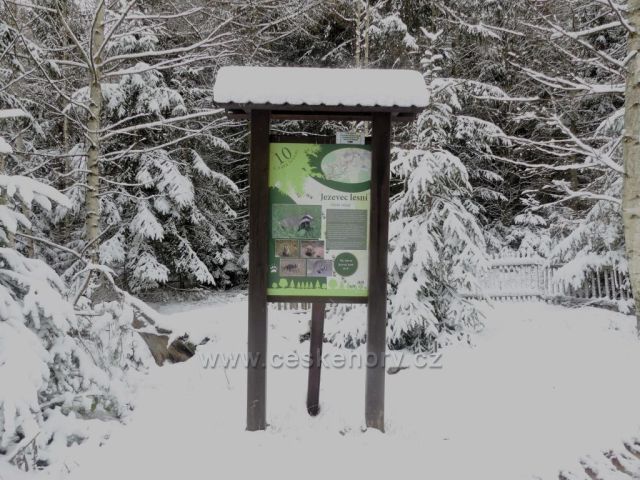 10. zastavení na trase NS Dlouhoňovice.