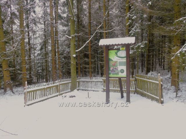 9.zastavení na NS Dlouhoňovice.