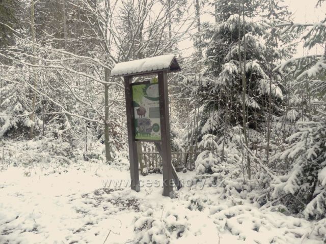 8.zastavení na NS Dlouhoňovice u cesty k výhledně.
