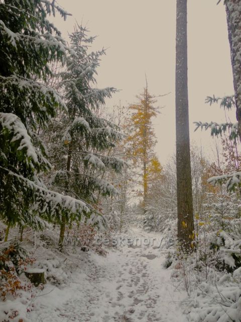  Cesta po žluté TZ k výhledně nad Dlouhoňovicemi