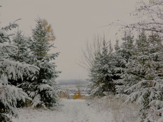 Nad výhlednou v Dlouhoňovicích.