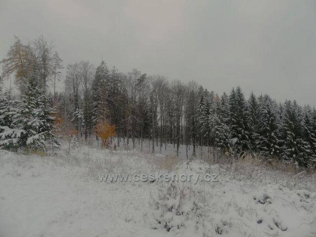 Dlouhoňovice - nad sjezdovkou.