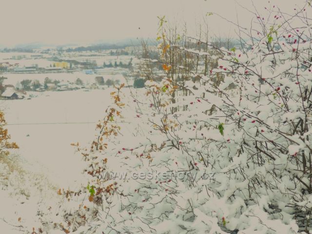 Pohled z Kalvarie na Dlouhoňovice