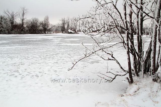 Zamrzlý Dlouhý rybník