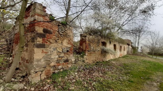 Cesta na Boreč
- poetické ruiny