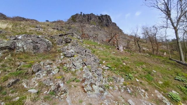 Předjaří na Bořni