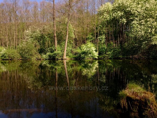 Zrcadlení na Moravě