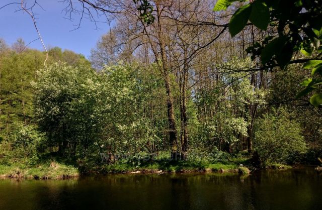 Zrcadlení na Moravě