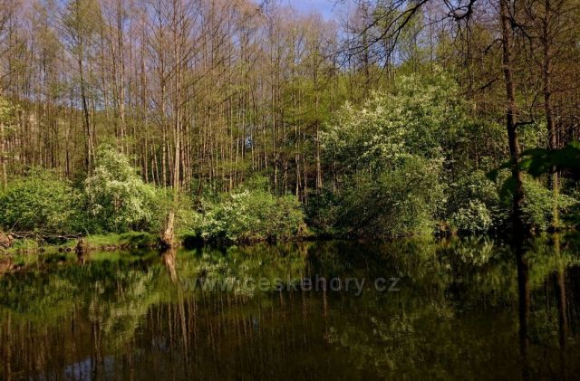 Zrcadlení na Moravě